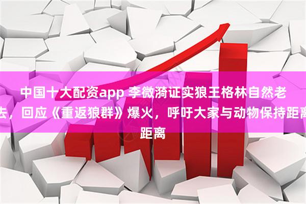 中国十大配资app 李微漪证实狼王格林自然老去，回应《重返狼群》爆火，呼吁大家与动物保持距离