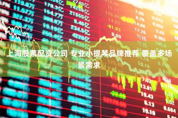 上海股票配资公司 专业小提琴品牌推荐 覆盖多场景需求