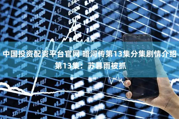 中国投资配资平台官网 暗河传第13集分集剧情介绍 第13集：苏暮雨被抓