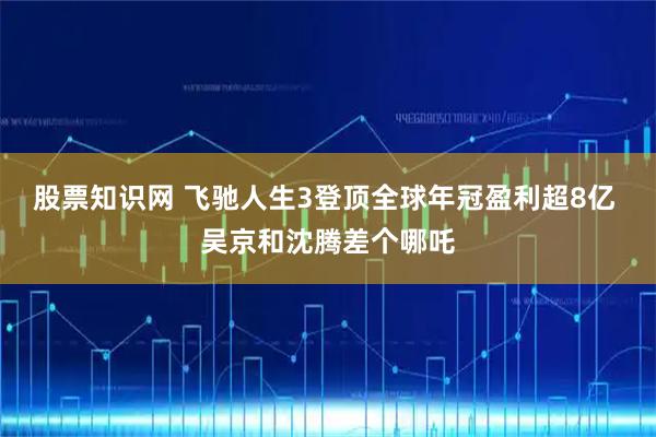 股票知识网 飞驰人生3登顶全球年冠盈利超8亿 吴京和沈腾差个哪吒